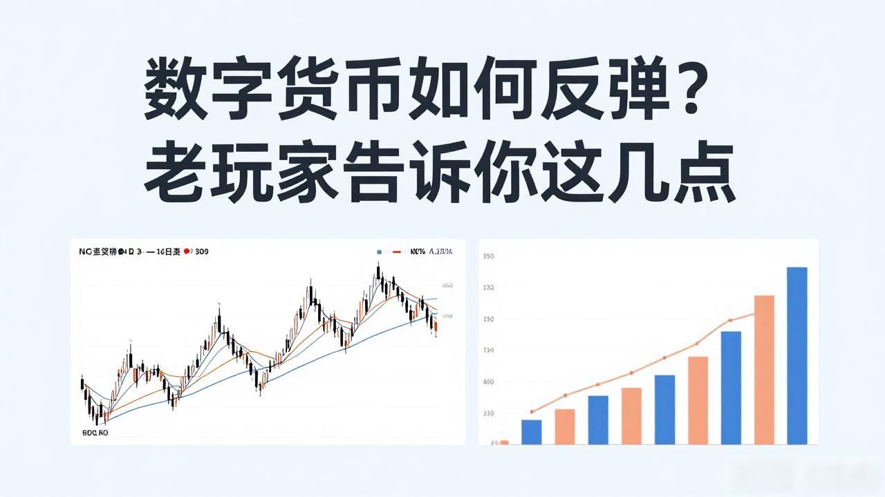 数字货币如何反弹？老玩家告诉你这几点