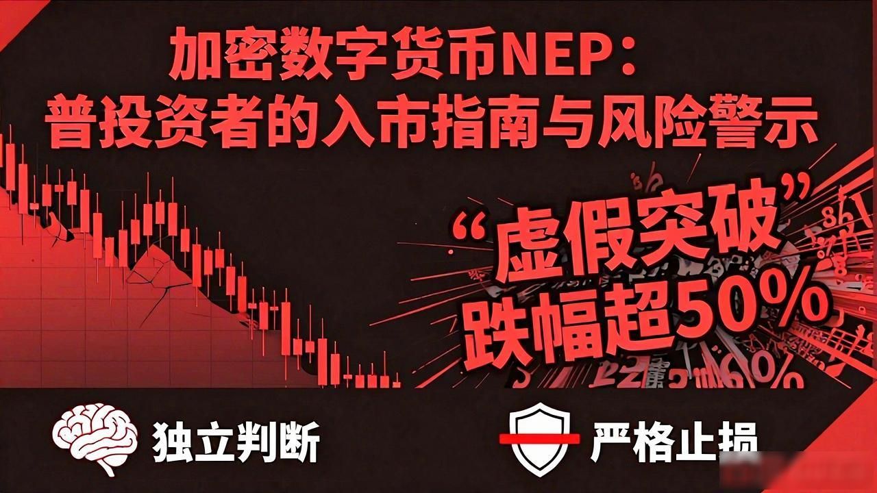 加密数字货币NEP：普通投资者的入市指南与风险警示